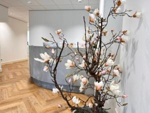 huidtherapeut rotterdam